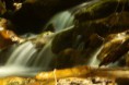 /album/fotecky/img-0153-jpg/