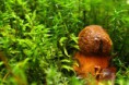 /album/fotecky/img-0936-jpg/