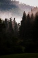 /album/fotecky/img-1063-jpg/